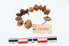 Foto von Perlenkette (NHMW-PRAE-026383)